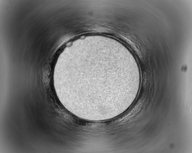 X0000103411163200810100950