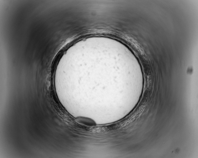 X0000103411165200810100950