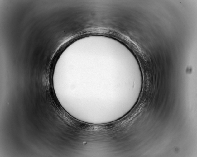 X0000103411166200810100950