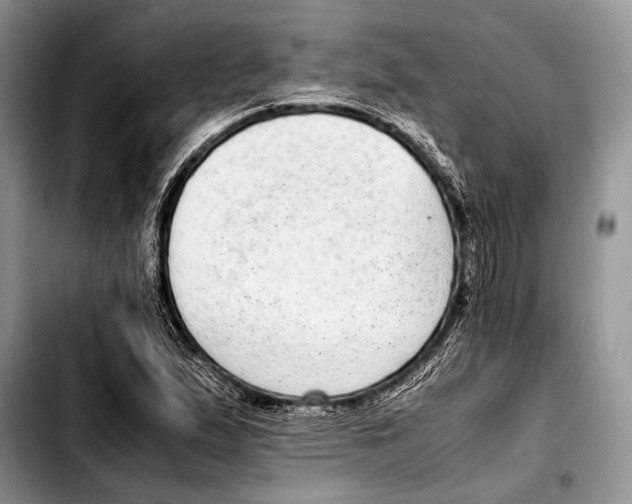 X0000103411167200810100950