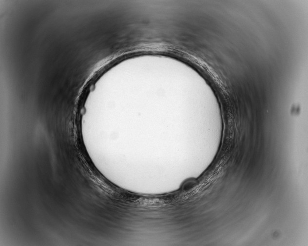 X0000103411168200810100950