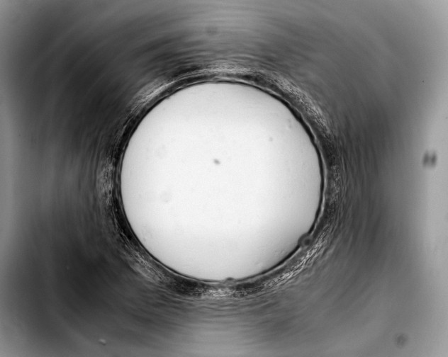 X0000103411169200810100950