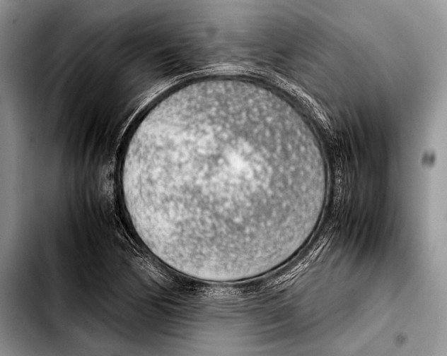 X0000103411170200810100950