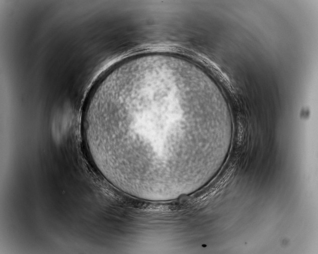 X0000103411174200810100949