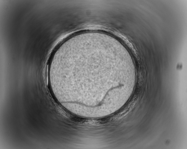 X0000103411175200810100949