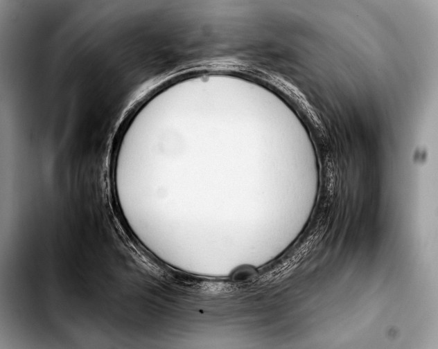 X0000103411176200810100949