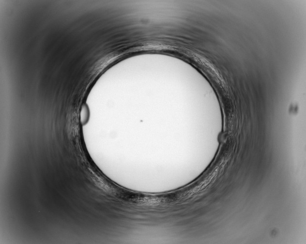 X0000103411177200810100949