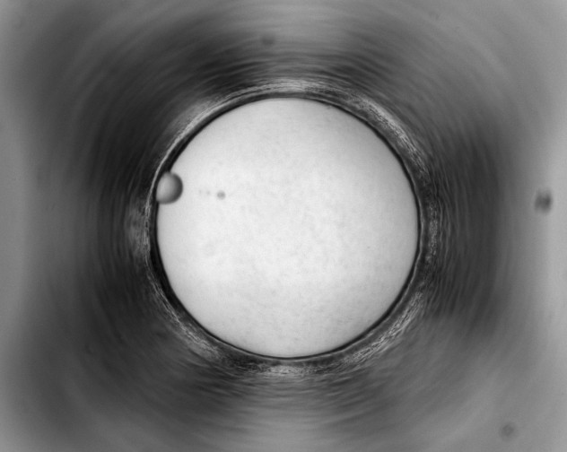 X0000103411178200810100949