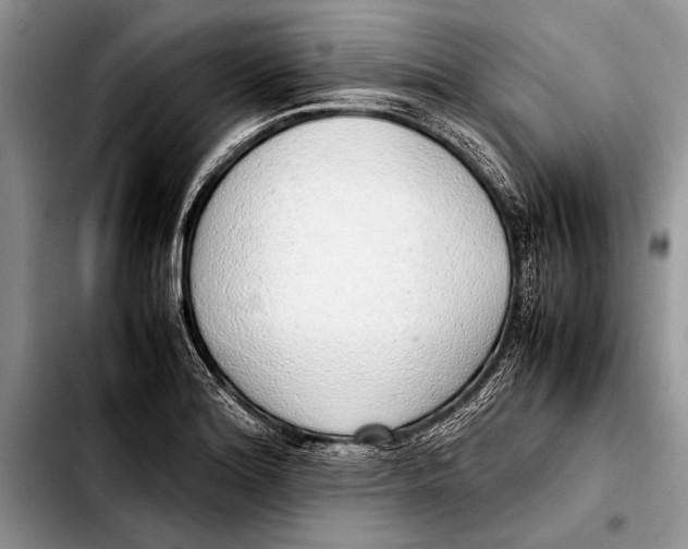 X0000103411180200810100949