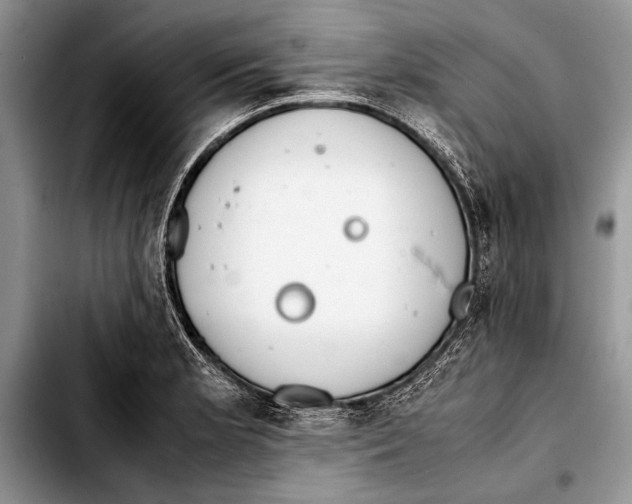 X0000103411181200810100949