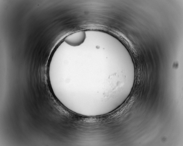 X0000103411182200810100949