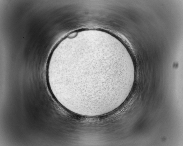 X0000103411183200810100949