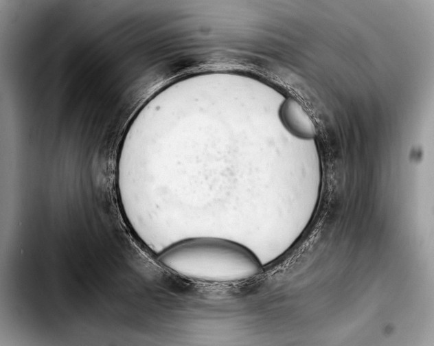 X0000103411185200810100949