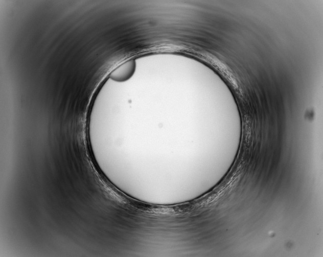 X0000103411186200810100949