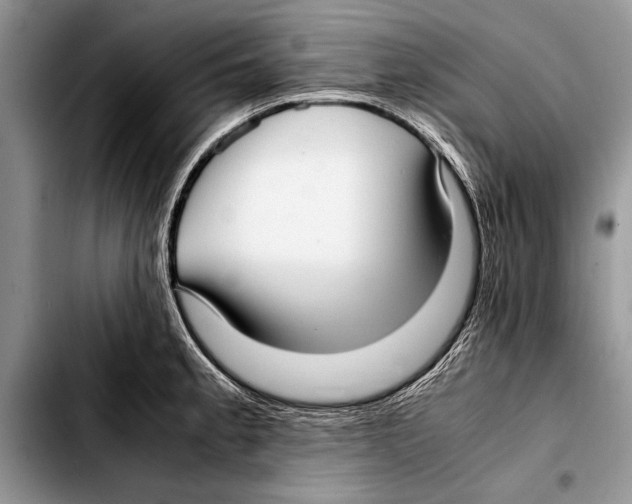 X0000103411189200810100949