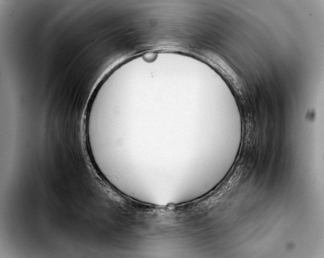 X0000103411190200810100949