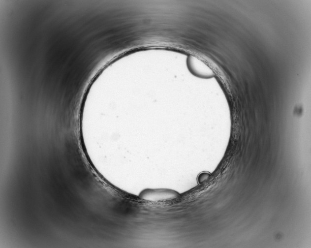 X0000103411191200810100949