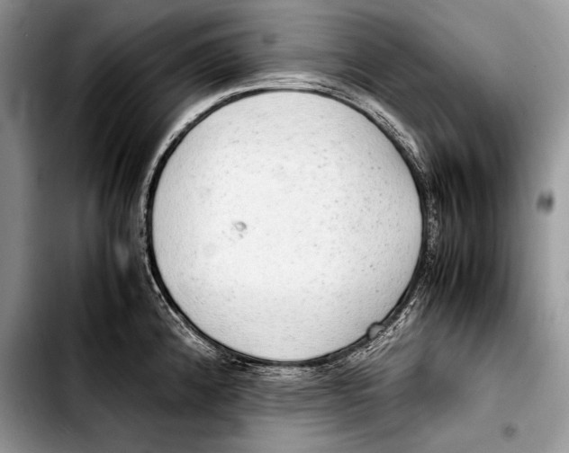 X0000103411192200810100949