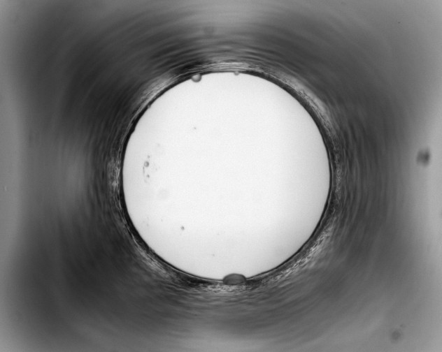 X0000103411193200810100949