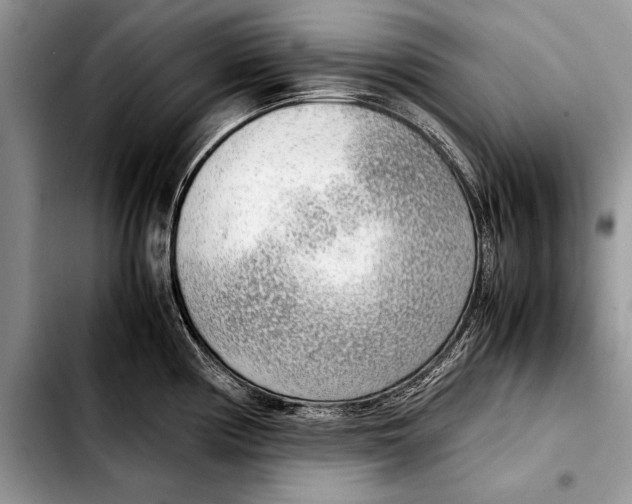 X0000103411194200810100949