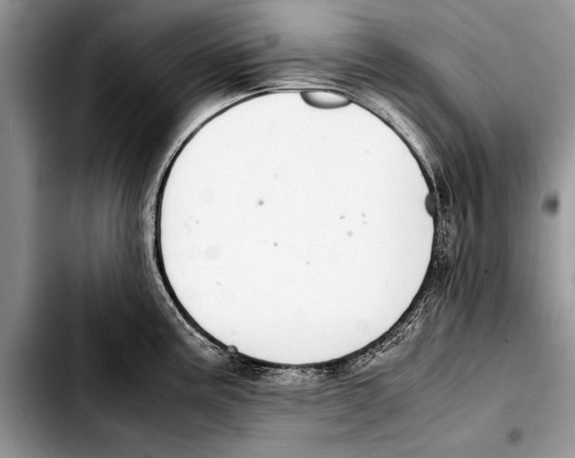 X0000103411195200810100949