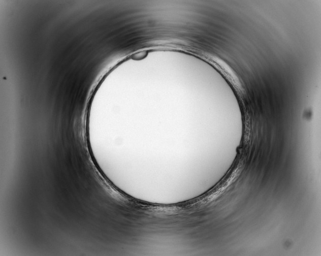 X0000103411196200810100949