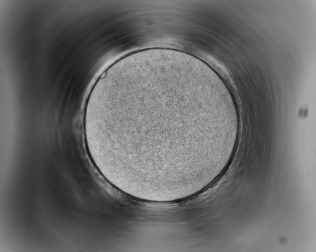 X0000103411200200810100949