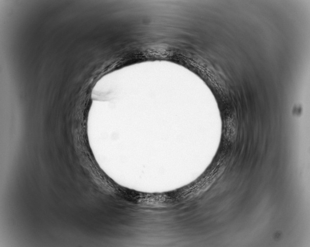 X0000103411201200810100948