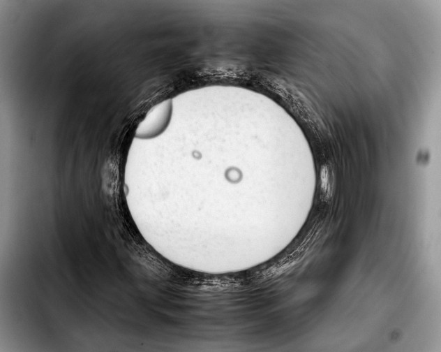 X0000103411203200810100948