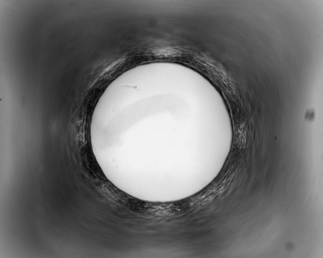 X0000103411205200810100949