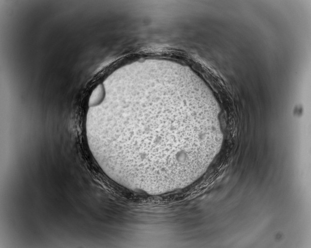 X0000103411206200810100949