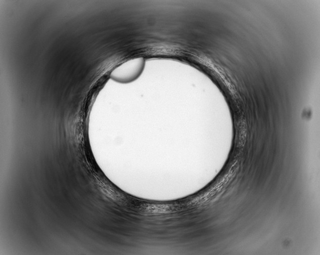 X0000103411211200810100949