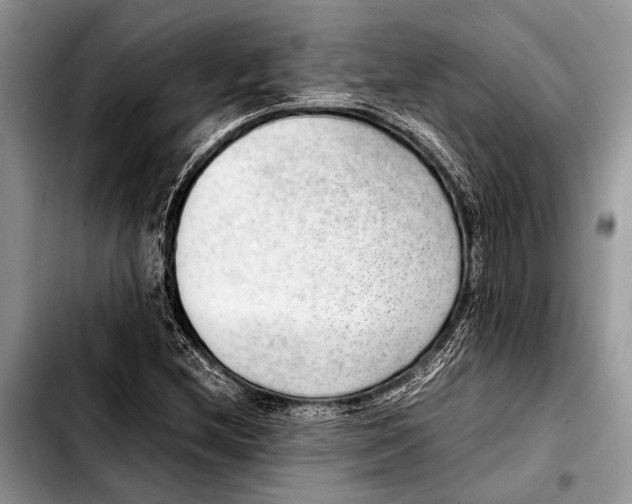 X0000103411212200810100949