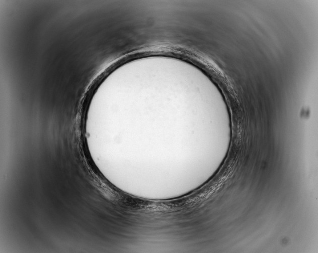 X0000103411216200810100949