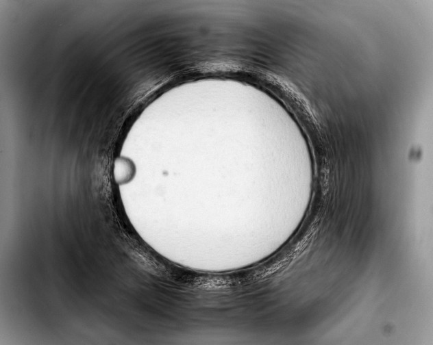 X0000103411217200810100949