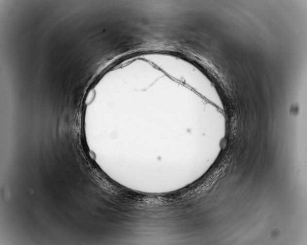 X0000103411220200810100949