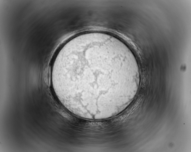 X0000103411223200810100949