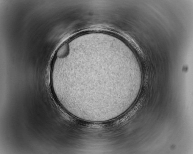 X0000103411224200810100949