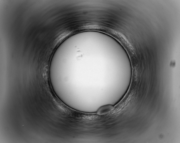 X0000103411225200810100949