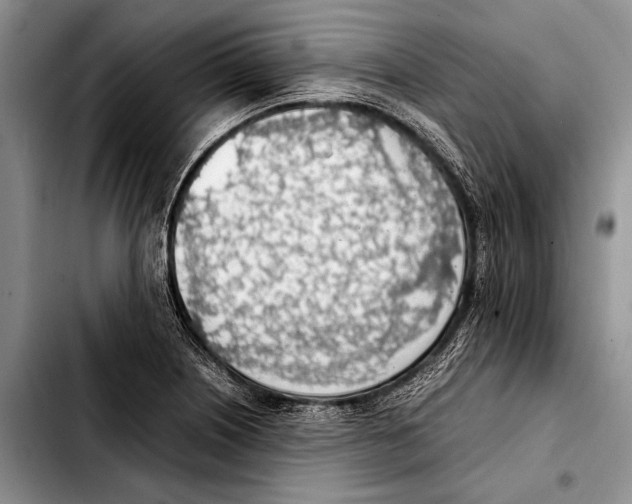 X0000103411226200810100949