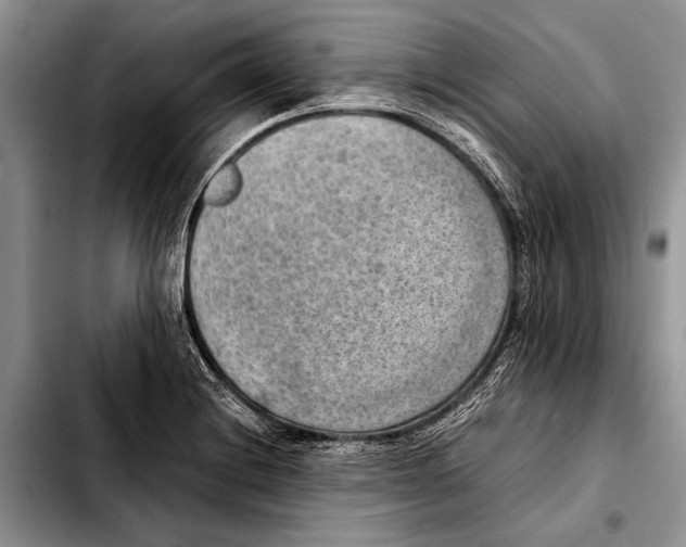 X0000103411228200810100949