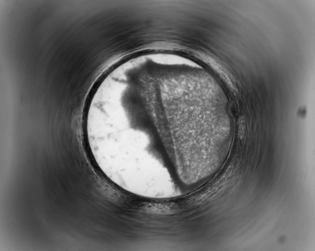 X0000103411229200810100949