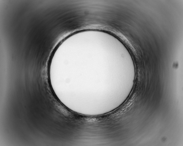 X0000103411230200810100949