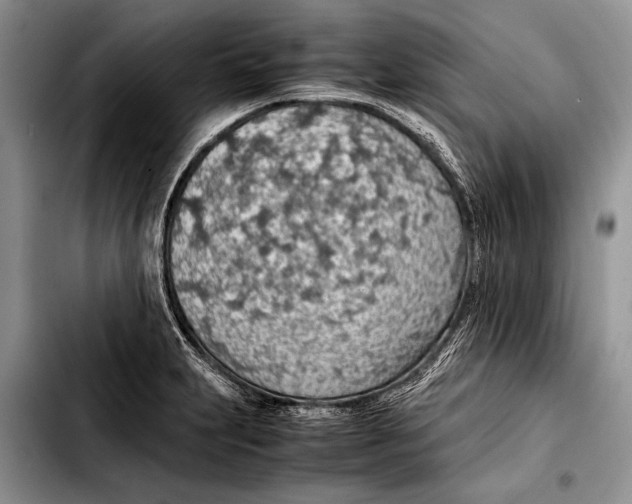 X0000103411231200810100949