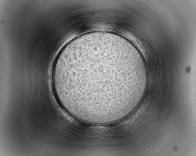 X0000103411235200810100949