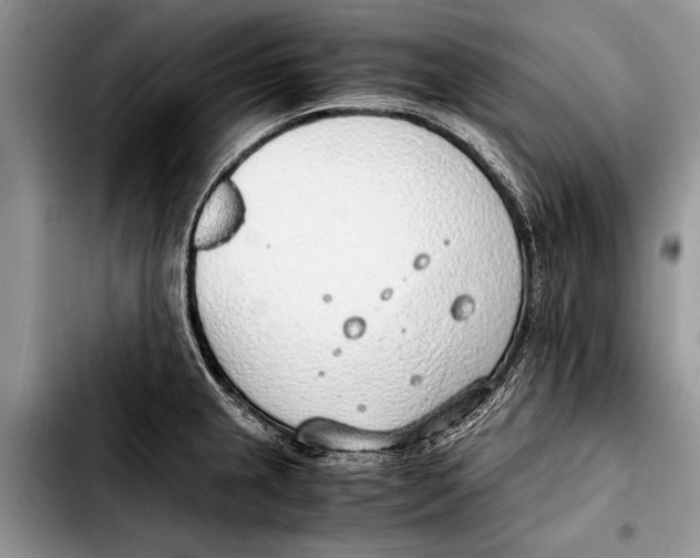 X0000103411237200810100949