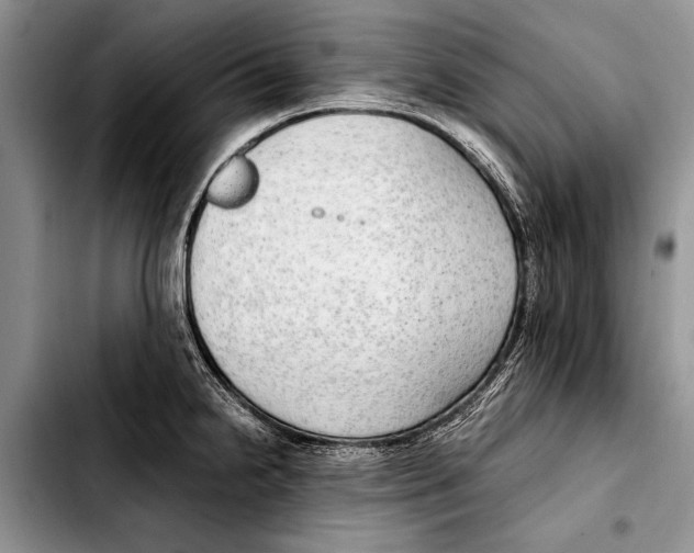 X0000103411238200810100949