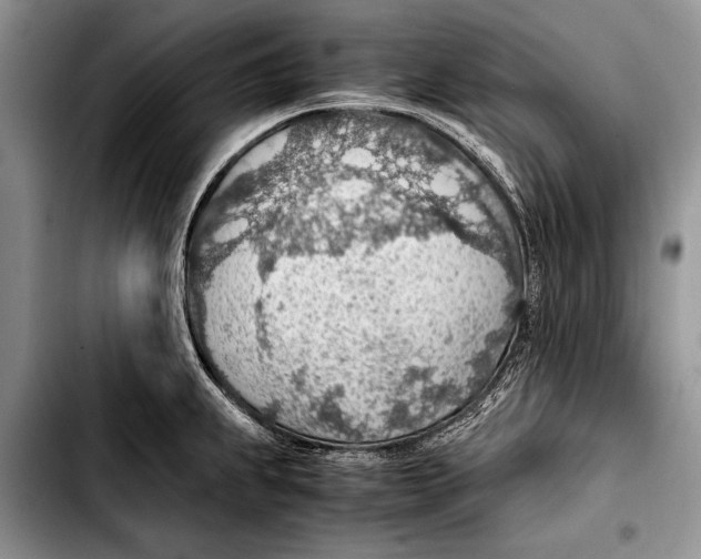 X0000103411239200810100949