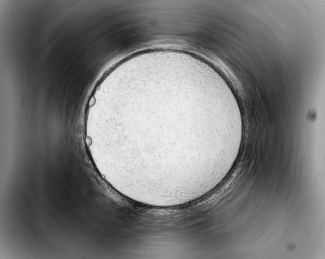 X0000103411240200810100949