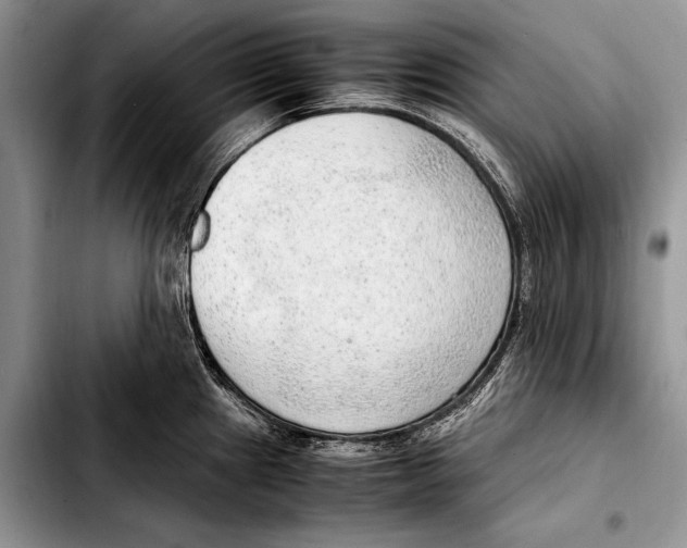 X0000103411241200810100949